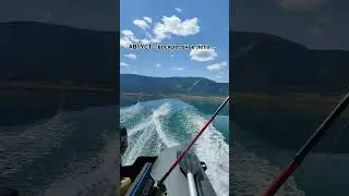Осталось полмесяца ...