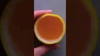 Lemon wedge jello shots for any summer party 