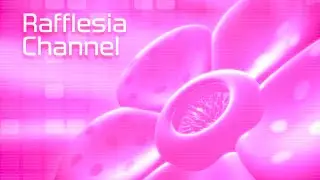 RAFFLESIA CHANNEL