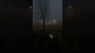 опустошённость