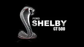 Ford Shelby Edit