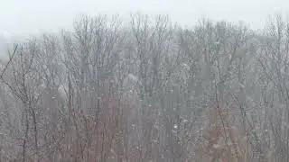 Метель\РЕЛАКС