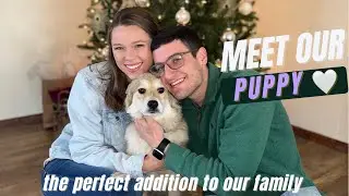 we ADOPTED a PUPPY 💛 | Mighty Pooch Unboxing 🐾