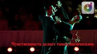 Victor Fung & Anastasia Muravyeva - flexibility and musicality in ballroom dance