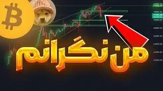 بیت کوین دوباره خرس ها را شوکه کرد!!! (80k فشار بعدی)..