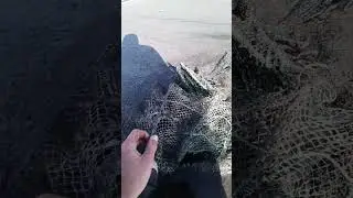 СПАС ПТИЧКУ