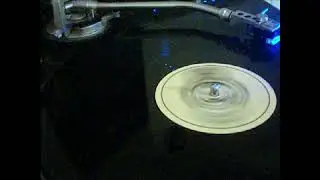 Shockwave Night Moves
