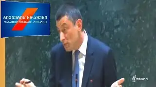 მოქალაქეთა კავშირი -  ქართული ჯიგარი