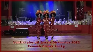 Voltižní ples JK Silesia Strahovice 2023 travesti Divoké kočky (BOLATICE)