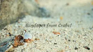 Bandages from Crabs!