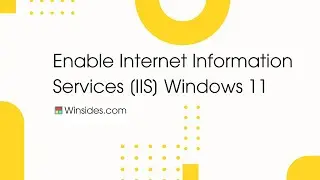 How to Enable IIS 6 in Windows 11?