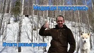 Медведи проснулись , итоги розыгрыша щенков