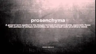 What does prosenchyma mean