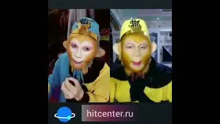 Яндекс Дзен для чего нужен и как работает, настройка Дзен