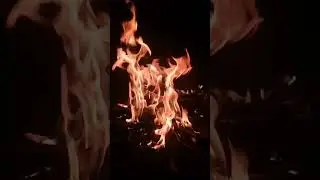 Random Posts