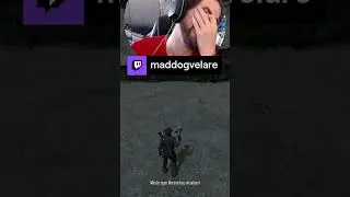 Ein legendäres Pferd! :O | maddogvelare auf 