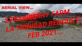 StrawBerry Farm La Trinidad Aerial View Feb2021