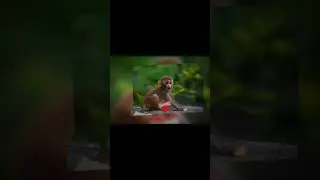 клоун класса 