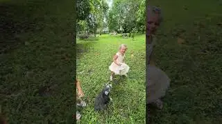 Малыши увидели маленькую собачку. Видео на прогулке! Есть ли у вас собака?