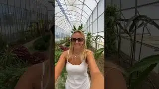 Тропический парк в Газипаша