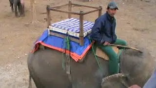 Слоностейшн, слонотрап. Chitwan. Nepal.