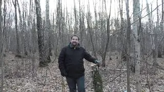 Как сделать чтобы ВСЕГДА СТОЯЛ