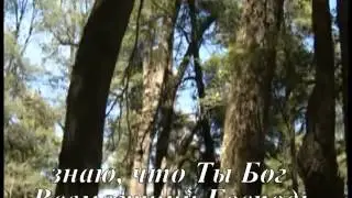 Ты мой Господь, моя жизнь для Тебя