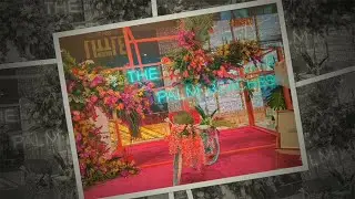 The Palm Beaches in Bloom
