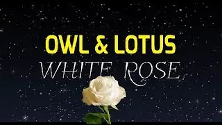 S2 E6 Owl and Lotus : White Rose