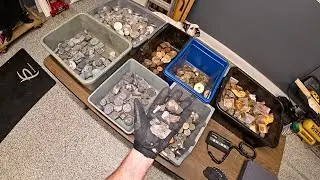 Scavenger Follow Up (Episode: It's Like Treasure)
