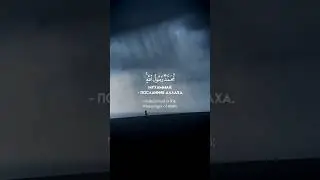 Аят из суры «Фатх»