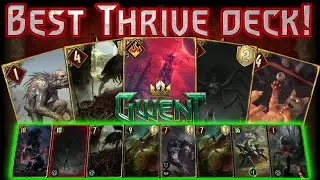 Gwent | Break the meta with Lilit Thrive!