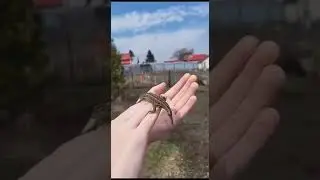 Alex meets Erro (real)