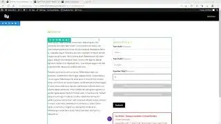 Divi Blade for Gravity Forms - Dynamic field_value settings