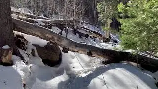 Winter Virtual hike in the snow | Inner Basin Trail, Lockett Meadow, Flagstaff, AZ