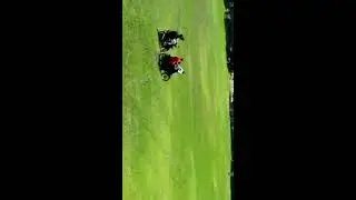Anak SMP dipaksa minum oplosan, dilapangan pekuncen wiradesa.