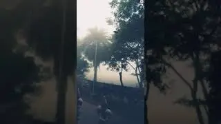 Cool Climate