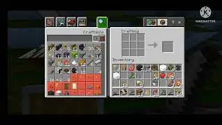 Minecraft Texture Bug