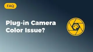 How to do if plug in camera screen color is not displayed correctly