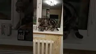 18 августа 2024 г.