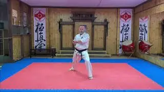 Ката "Пинан Соно Го"
