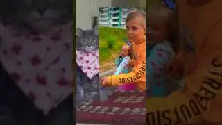 #subscribe #memes #реки #shorts #like