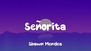 Shawn Mendes - Señorita ( Lyrics )