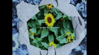 sana nandito ka pa - KXLE, Allegra, SV3 and Jake P. (Official Lyric Video)
