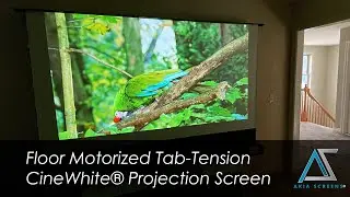 Akia Screens Floor Motorized Tab-Tension Projection Screen - The Future of Home Entertainment