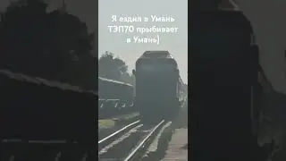 2 июля 2024 г.