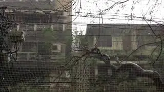 Why so much rain today in India????