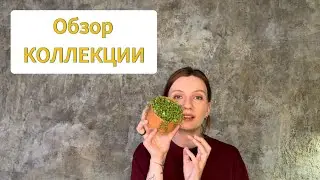 Обзор коллекции | Часть 4 | Заключительная