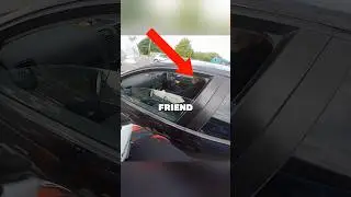 Wanting To Say Hello Turns Into Road Rage! 😳 Credit: @foulbunnie