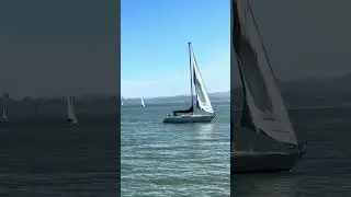 Tiburon/Belvedere. California. On the north of San Francisco.